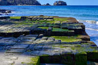 Tessellated Pavement at Eaglehawk Neck 