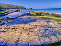 Tessellated Pavement at Eaglehawk Neck 