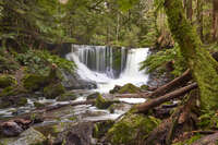 Serene Waterfall in Mount Field 