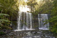 Russell Falls in Morning Light 