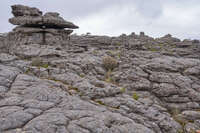 Rocky Terrain at Pinnacle Lookout 