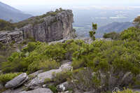 Rugged Cliff at Pinnacle Lookout 