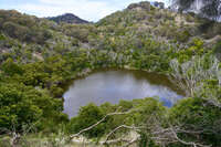 Lake in Tower Hill Wildlife Reserve 