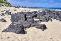 Rocky Beach at Port Fairy 