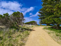 Coastal Pathway in Port Fairy 