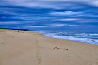 Footprints on a serene beach at dusk 