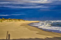 Golden beach under dramatic clouds 