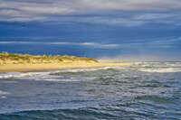 Golden dunes meet restless waves 