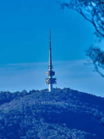 Telstra Tower on Black Mountain 