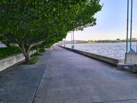 Tree-lined lakeside walkway in Canberra 