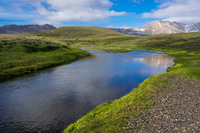 Alftavatn Lake green river South,  Iceland, Europe