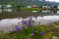 Seydisfjordur Seyðisfjörður,  East,  Iceland, Europe