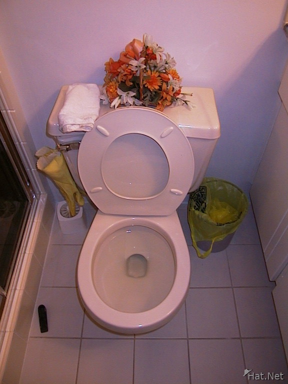 my toilet