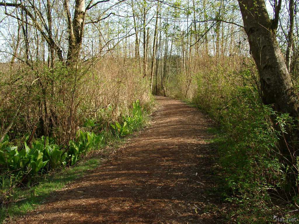 path in burnaby lake park
