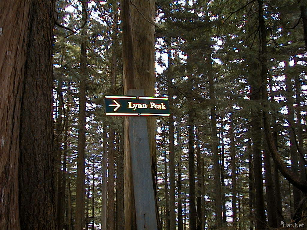 sign lynn peak