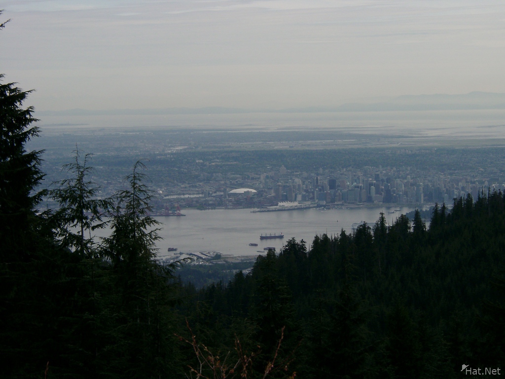 vancouver from moutain fommer