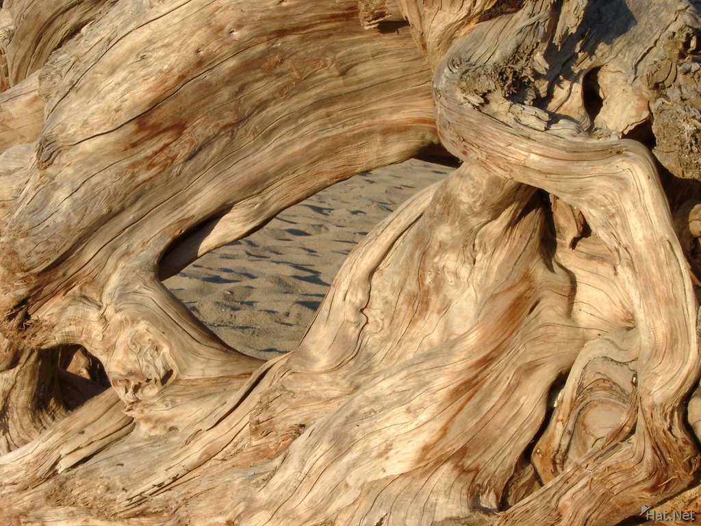 sand through the wood