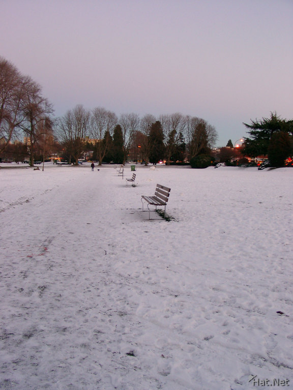 benches in snow