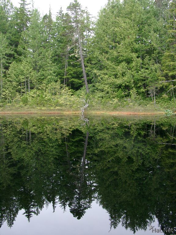 mirror of little lake