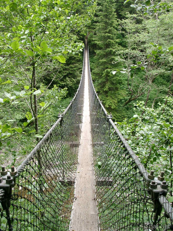 suspension bridge at logan