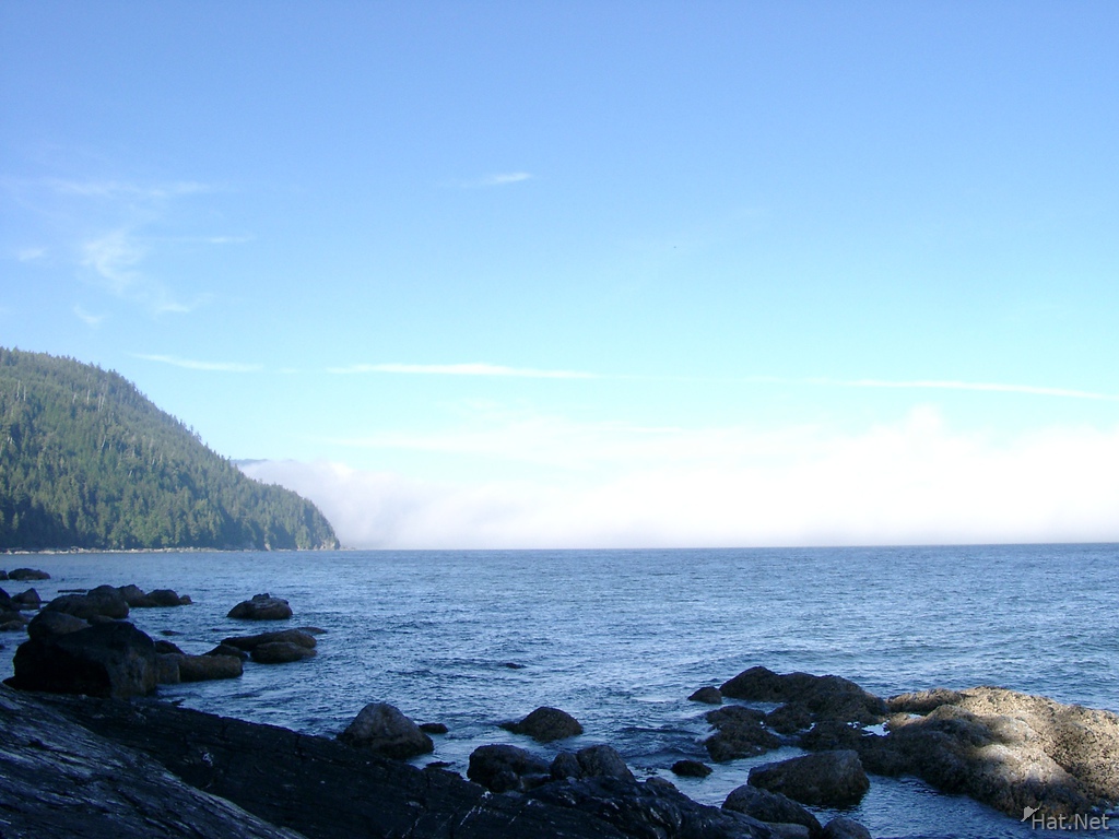 fogs of thrasher cove