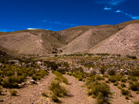 field of coctaca Humahuaca, Jujuy and Salta Provinces, Argentina, South America