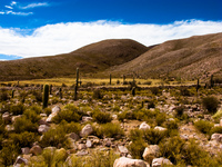 wilderness of coctaca Humahuaca, Jujuy and Salta Provinces, Argentina, South America