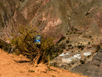 hello kitty on holy cross trail Tilcara, Iruya, Jujuy and Salta Provinces, Argentina, South America