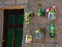 view--flower door Tilcara, Iruya, Jujuy and Salta Provinces, Argentina, South America