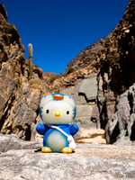 hello kitty in diablo valleg Tilcara, Jujuy and Salta Provinces, Argentina, South America