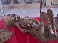 child mummy Potosi, Potosi Department, Bolivia, South America