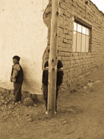 shy boys in san antonio de lipez Tupiza, Potosi Department, Bolivia, South America