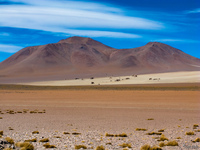 view--desert of dali San Antonio, Potosi Department, Bolivia, South America