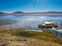 steam of laguna colorada Laguna Colorado, Potosi Department, Bolivia, South America