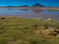 bank of laguna colorada Laguna Colorado, Potosi Department, Bolivia, South America