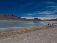 laguna honda Laguna Colorado, Potosi Department, Bolivia, South America