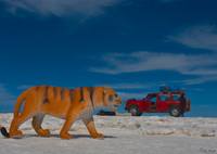 view--tiger attack jeep in salar de uyuni Salar de Uyuni, Potosi Department, Bolivia, South America