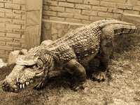 20091022151434_crocosaur