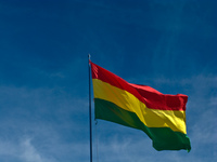 bolivian flag Uyuni, Potosi, Potosi Department, Bolivia, South America