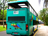 transport--shuttle bus in iguazu fall park Foz do Iguassu, Puerto Iguassu, Parana (PR), Misiones, Brazil, South America