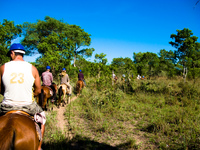 horse riding in pantanal Fazenda Santa Clara, Mato Grosso do Sul (MS), Brazil, South America