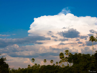 20091101175738_view--sky_of_pantanal_river