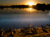 view--caiman sunrise Santa Clara Farm, Mato Grosso do Sul (MS), Brazil, South America