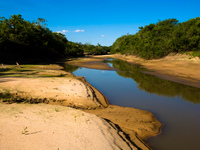 dried river bed in pantanal Santa Clara Farm, Mato Grosso do Sul (MS), Brazil, South America