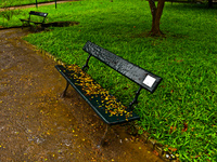 bench of autumn leaves Rio de Janeiro, Rio de Janeiro, Brazil, South America