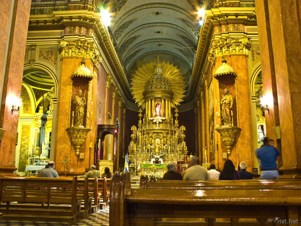 view--inside of salta catedral