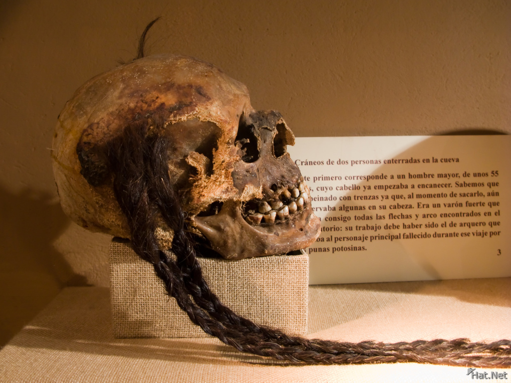 skull with braids