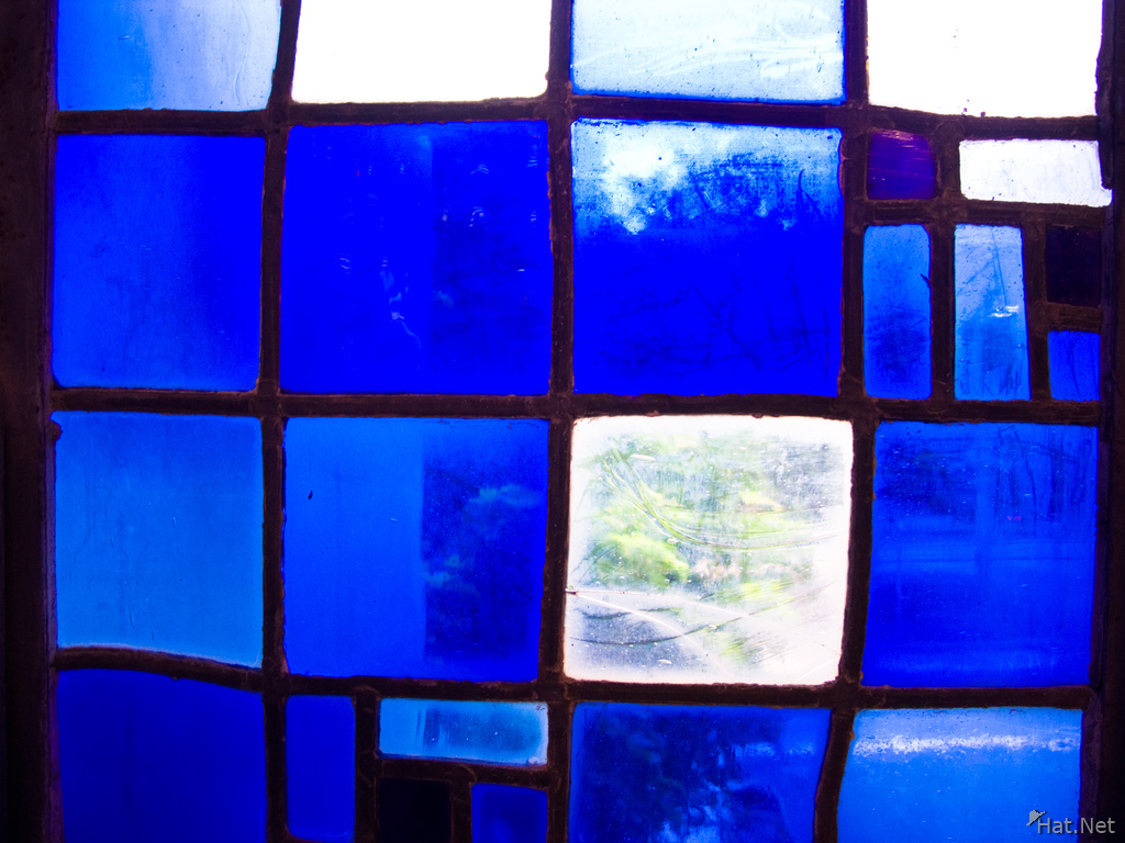 blue windows