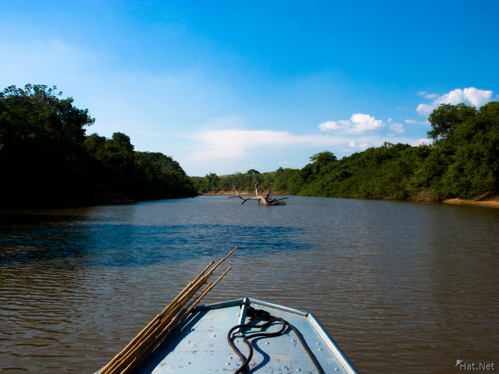pantanal boat tour