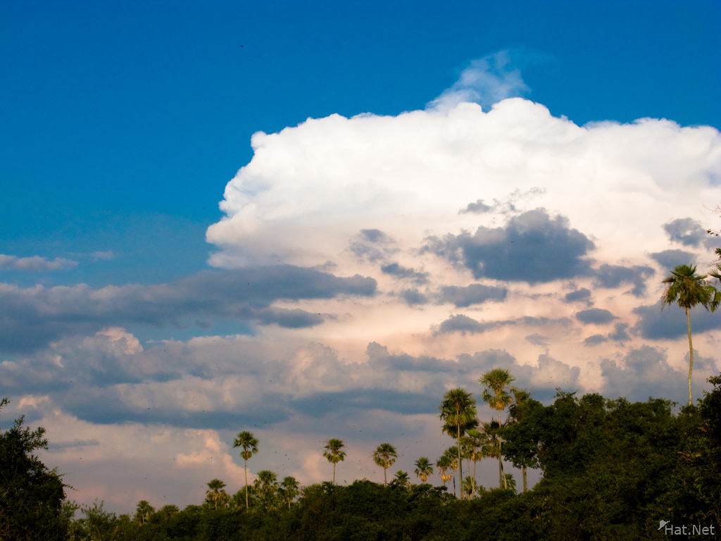 view--sky of pantanal river
